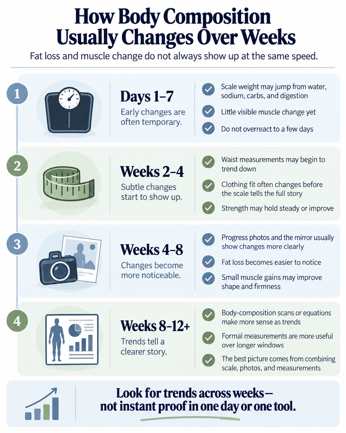 Timeline graphic showing body composition changes over 4 to 12 weeks